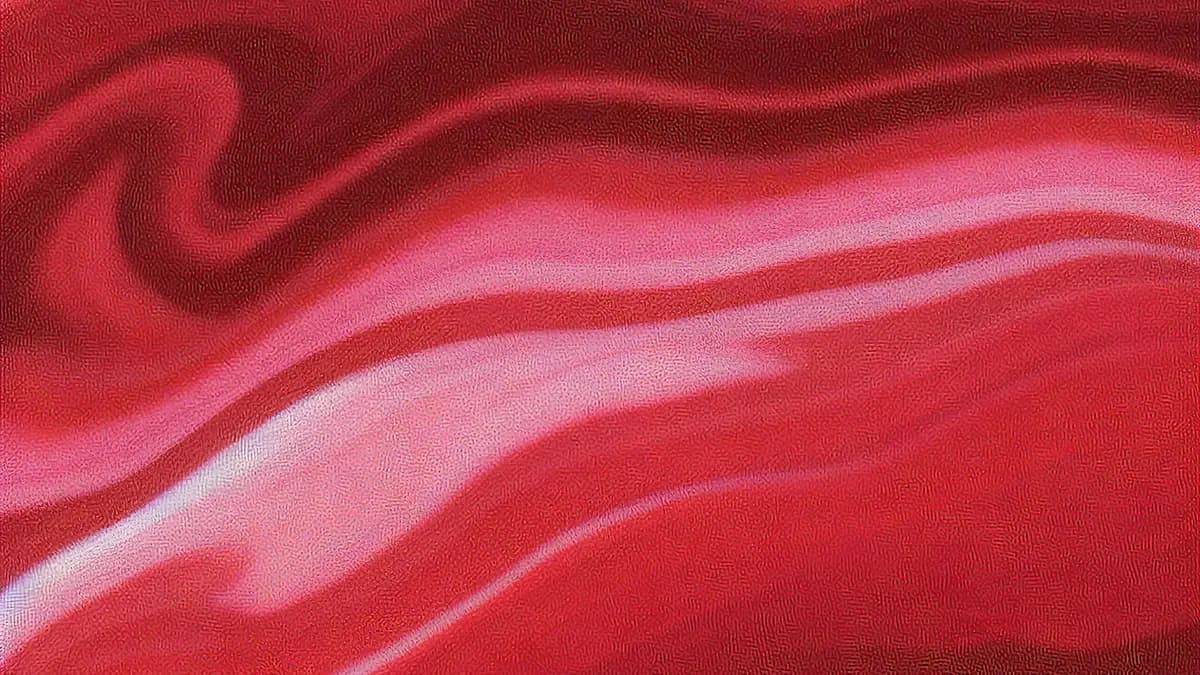 机器学习 / 深度学习项目